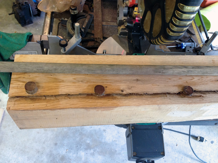 Sawed off plugs made from oak broomstick