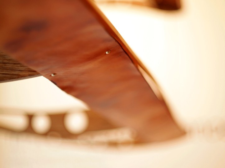 Wings Of Innocence (detail)