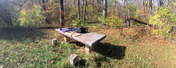 Sketching in the woods 2