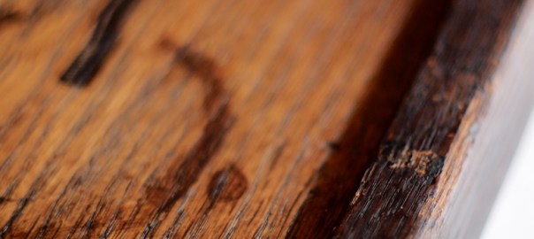 "Absolute Power" (frame detail)