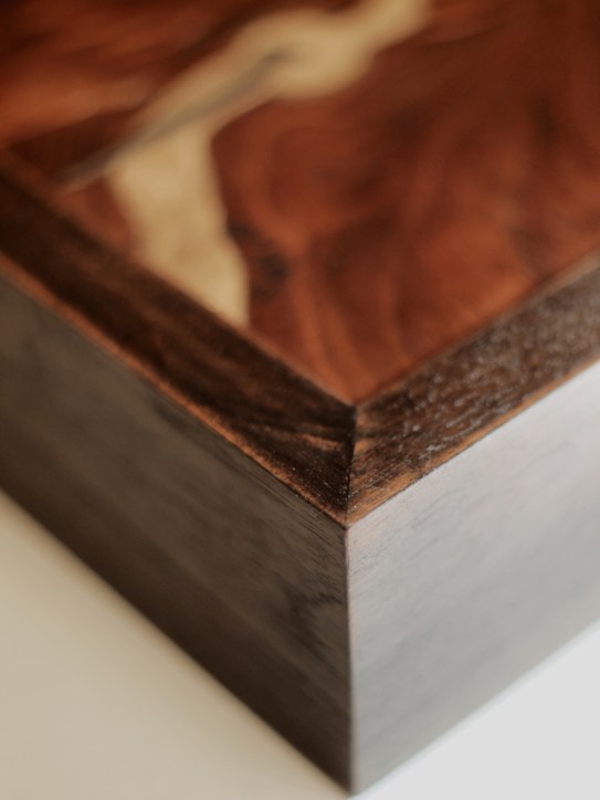 "Absolute: Radiance" (frame detail 2)