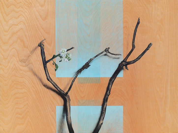 "Absolute: Graft", oil painting on maple. 48" x 36". 2.3.16.