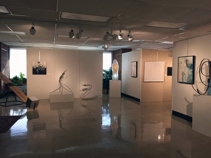 The Schumacher Gallery