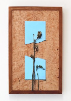 “Absolute: Moment” (detail), Oil paint on reclaimed quilted maple. 11 1/2” x 18 1/2” 3.9.16.