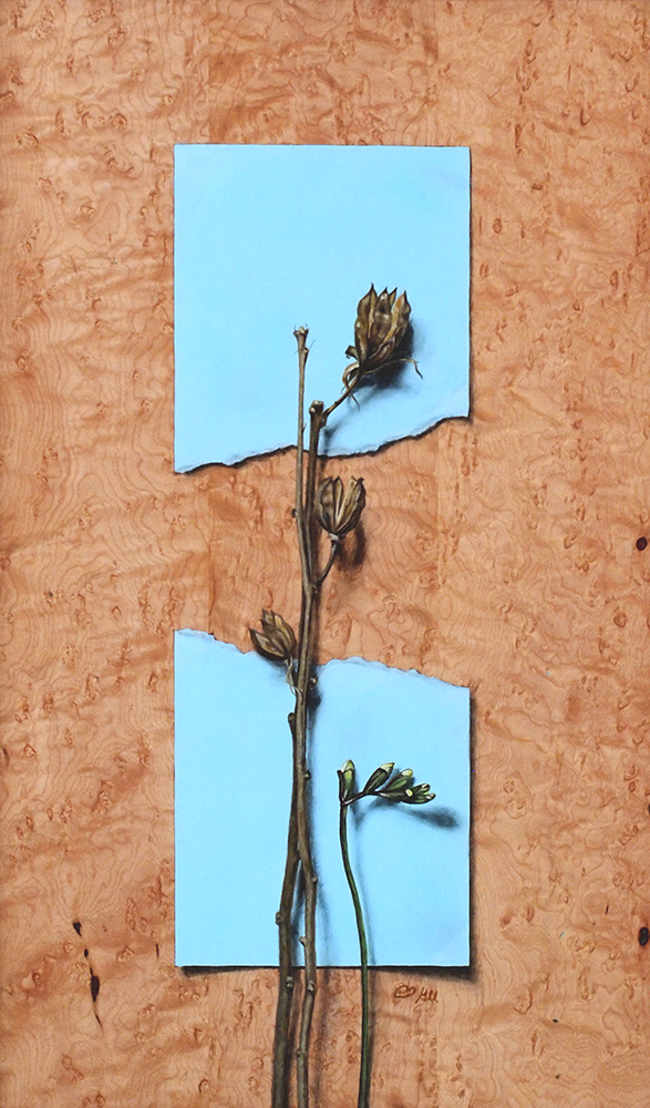 “Absolute: Moment” (detail), Oil paint on reclaimed quilted maple. 11 1/2” x 18 1/2” 3.9.16.