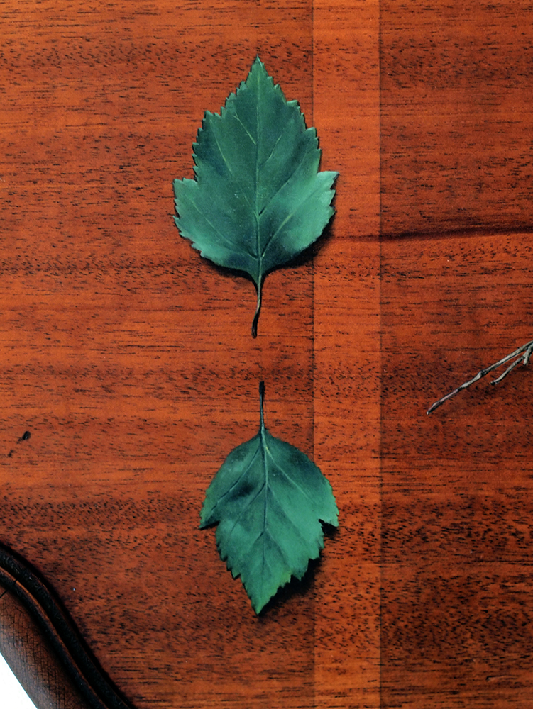 “Absolute: Position”, (detail). Oil paint on reclaimed mahogany pie crust table top. 25 1/2” x 25 1/2”. 8.9.16.