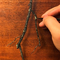 “Absolute: Position”, (detail). Oil paint on reclaimed mahogany pie crust table top. 25 1/2” x 25 1/2”. 8.9.16.