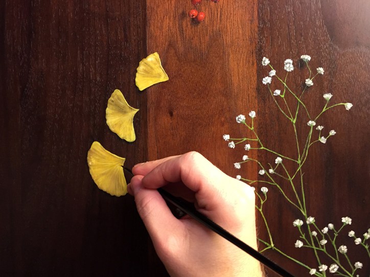 "Absolute: Nostalgia" Process Shot