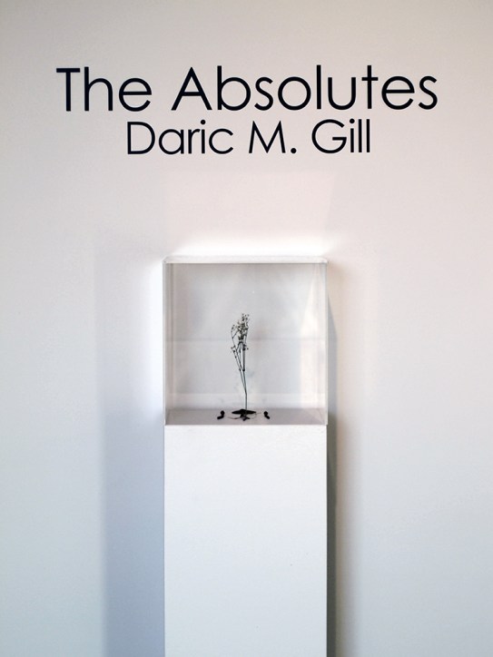 Schumacher Gallery, The Absolutes Exhibition by Daric Gill