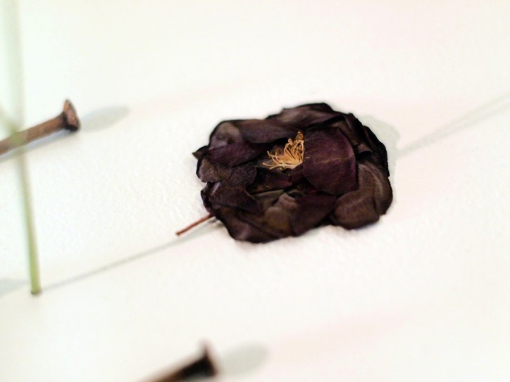 Schumacher Gallery, The Absolutes Exhibition by Daric Gill