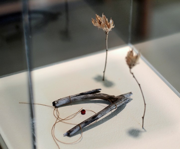 Schumacher Gallery, The Absolutes Exhibition by Daric Gill