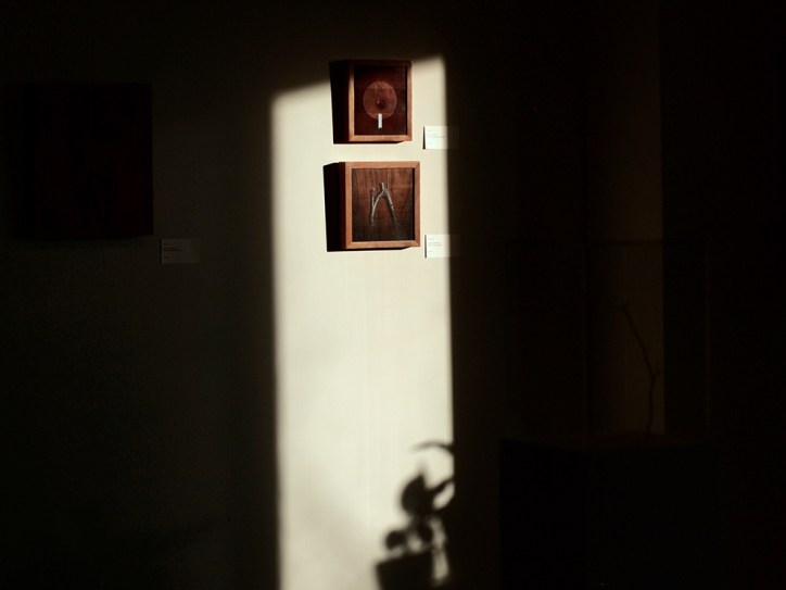 Schumacher Gallery, The Absolutes Exhibition by Daric Gill