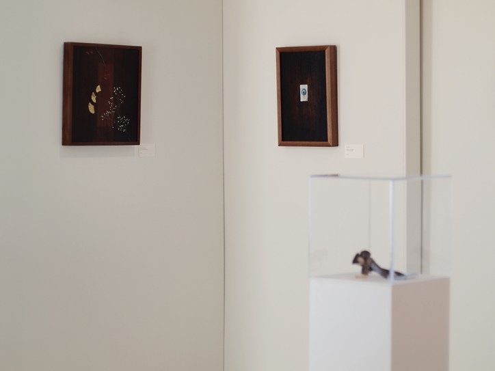 Schumacher Gallery, The Absolutes Exhibition by Daric Gill