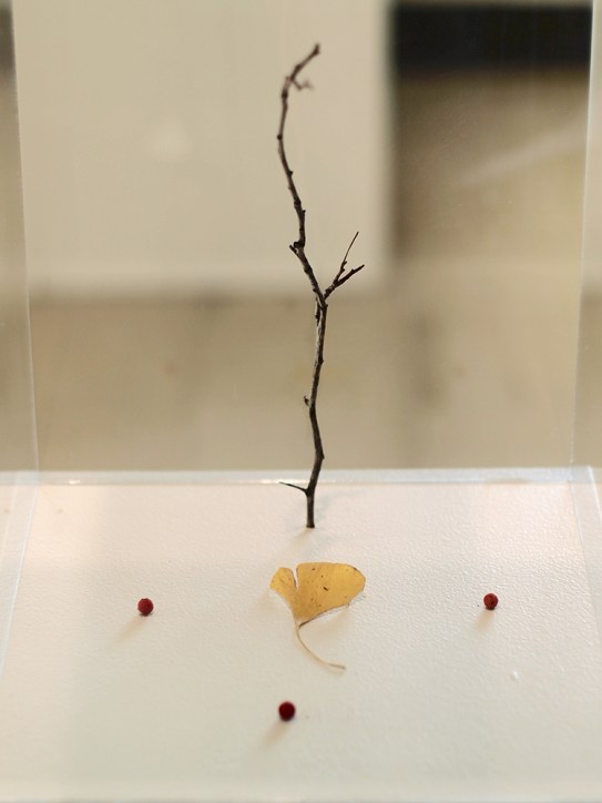 Schumacher Gallery, The Absolutes Exhibition by Daric Gill