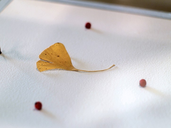 Schumacher Gallery, The Absolutes Exhibition by Daric Gill