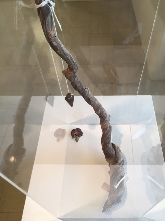 Schumacher Gallery, The Absolutes Exhibition by Daric Gill