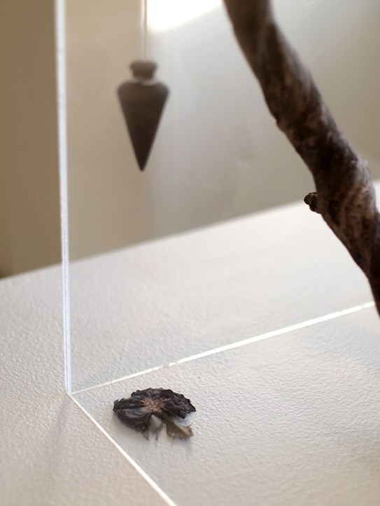 Schumacher Gallery, The Absolutes Exhibition by Daric Gill