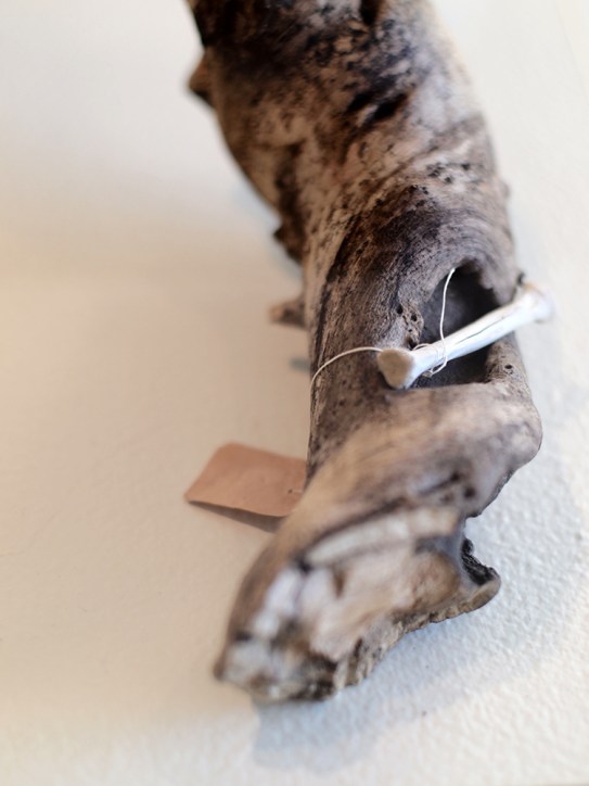 Schumacher Gallery, The Absolutes Exhibition by Daric Gill