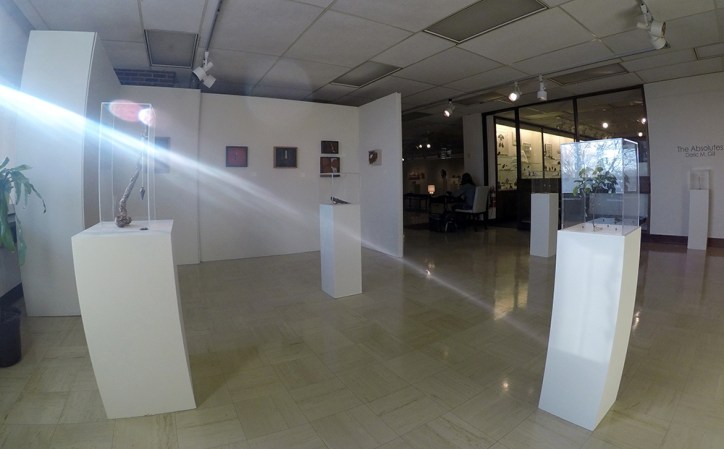 Schumacher Gallery, The Absolutes Exhibition by Daric Gill