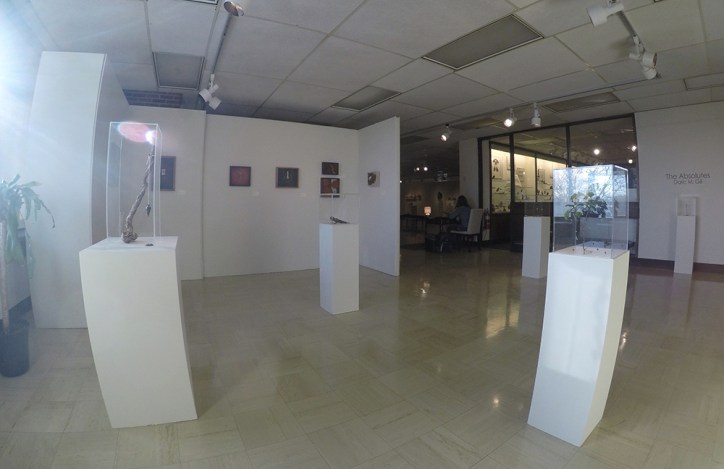 Schumacher Gallery, The Absolutes Exhibition by Daric Gill