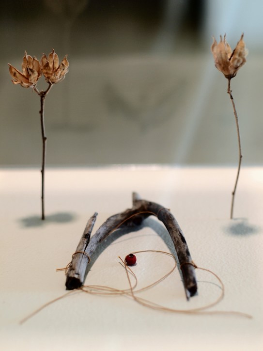 Schumacher Gallery, The Absolutes Exhibition by Daric Gill