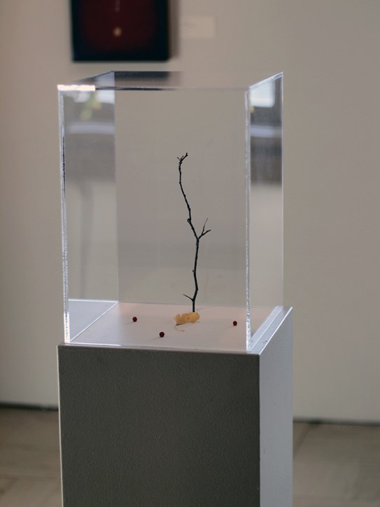 Schumacher Gallery, The Absolutes Exhibition by Daric Gill