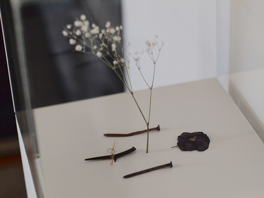 Schumacher Gallery, The Absolutes Exhibition by Daric Gill