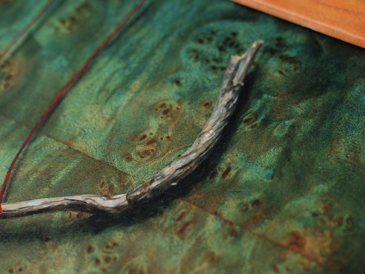 “Absolute: Balance” (painted branch detail)