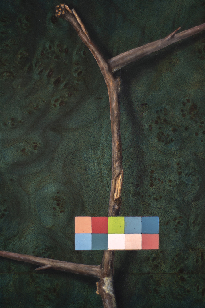 fine artwork by Daric Gill