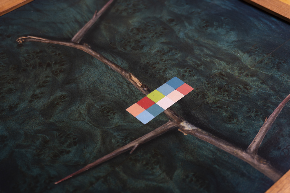 fine artwork by Daric Gill