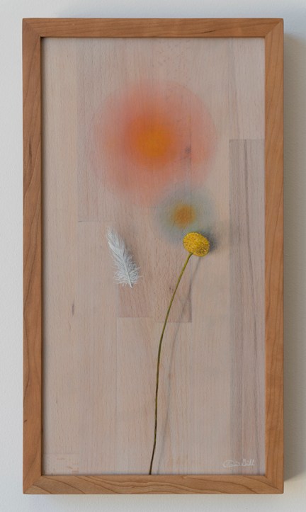 Oil paintings by Daric M. Gill