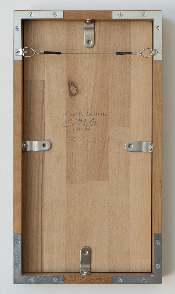 Oil paintings by Daric M. Gill