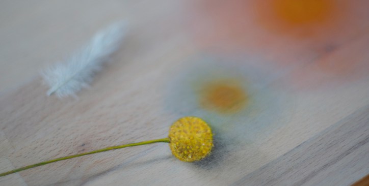 Oil paintings by Daric M. Gill