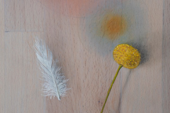 Oil paintings by Daric M. Gill