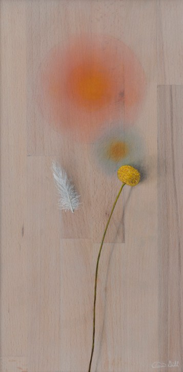 Oil paintings by Daric M. Gill