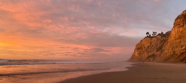 San Diago Blacks Beach