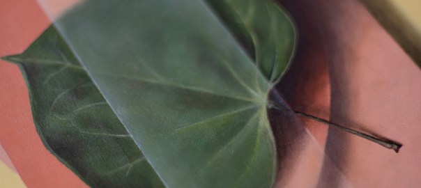 Side detail of oil painting, "Absolute: Passage" by Daric Gill, portraying a leaf on colorful background
