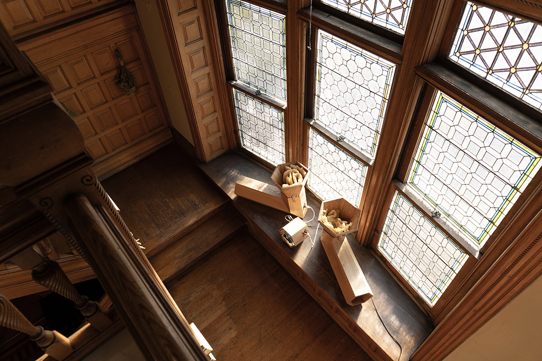 View from above: an interactive sound sculpture by artist Daric Gill made from Honeycomb, wood, & mixed electronics.