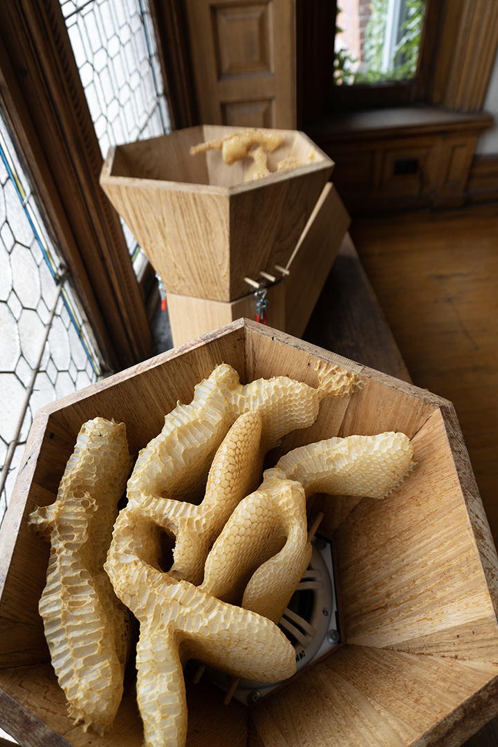 Honeycomb cling to the inside of two wooden hexagonal cones. Behind the beeswax is a speaker and acoustic speaker box.