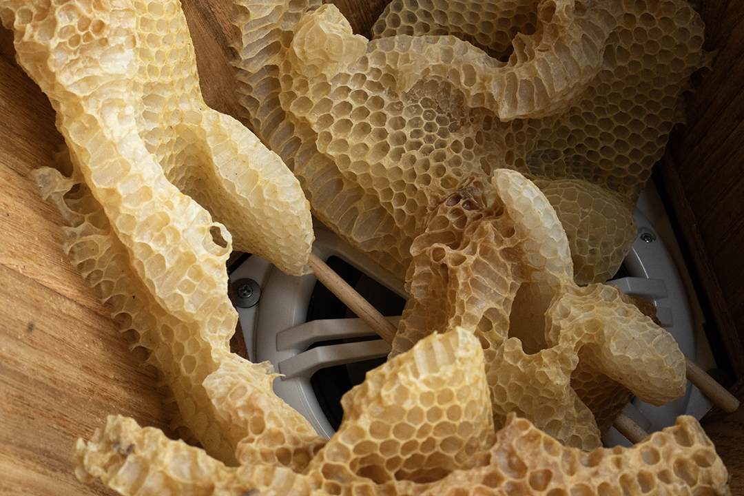 Detail of honeycomb in Daric Gill's "The Translation Machine", an interactive sound sculpture.