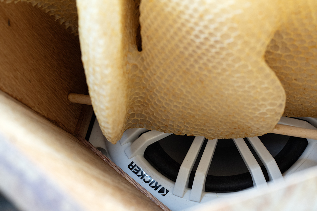 A speaker rests behind a lobe of honeycomb.