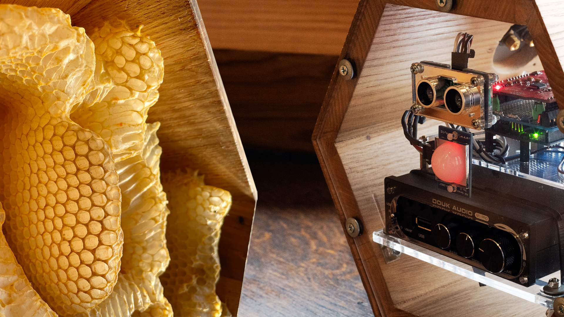 interactive art | Daric Gill